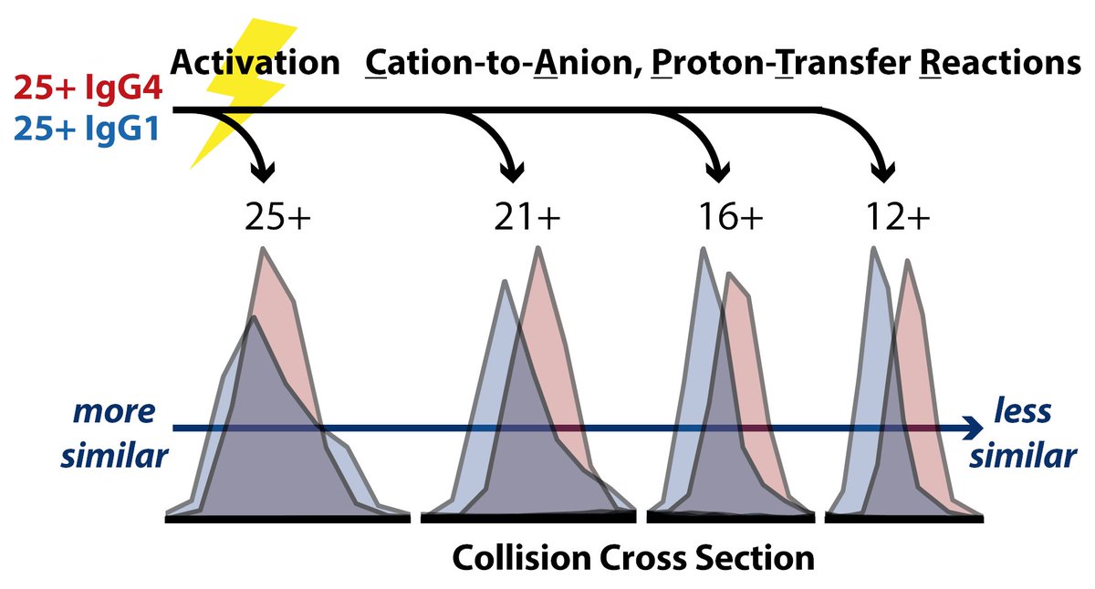 Bush Lab tweet media