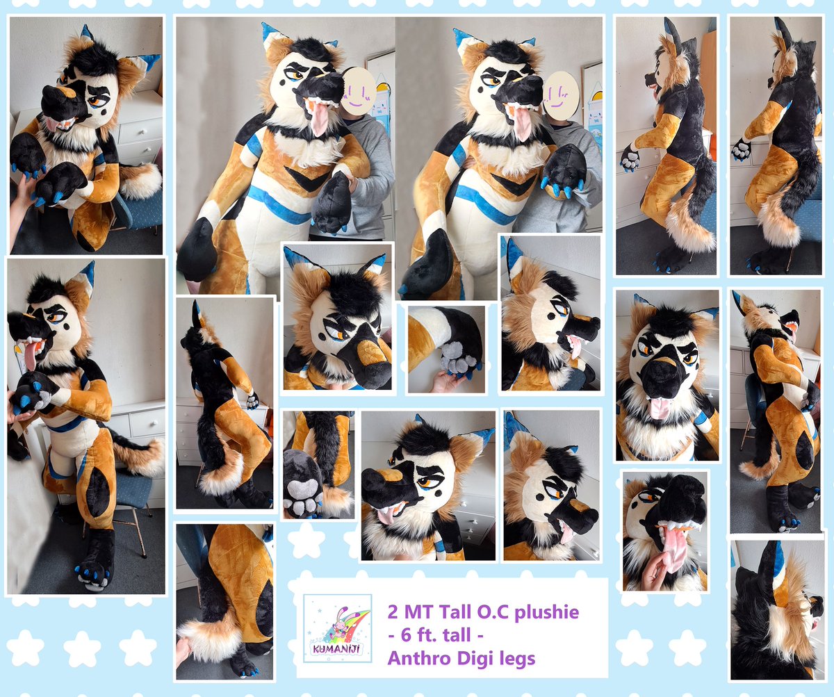 Kumaniji's tweet image. Work doesn&apos;t stop 🎄 , a super cuddle PoliceDog O.C plushie in 2mt tall ready to travel home 😊
Remember my work its #handmadeplush and all face details or marking are handsew 🧵
#dogplush #furryplushie #furryplush #fursonaplush #giantplushie #bigplush #bigdog