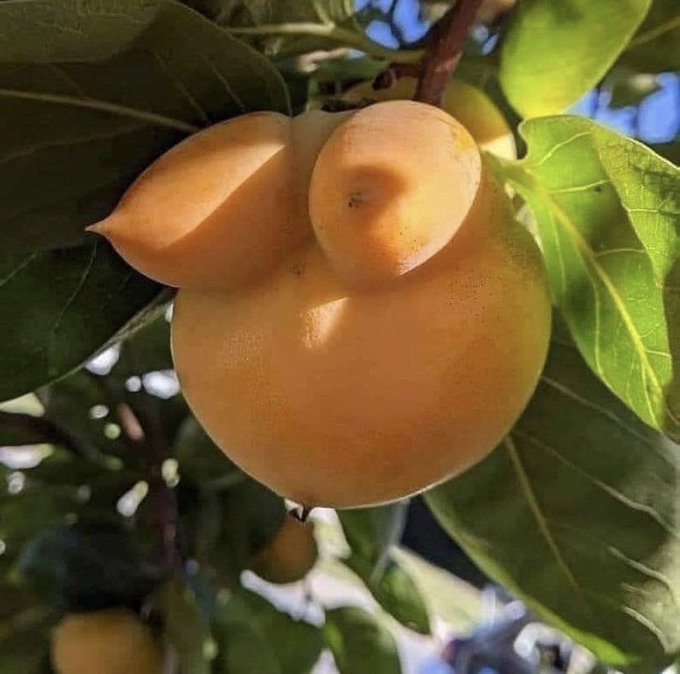 Before you DM me, know my body looks like this https://t.co/BH8rjleeO2