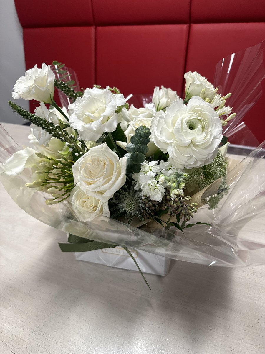 Tom lee fundstrat children (52) 사진