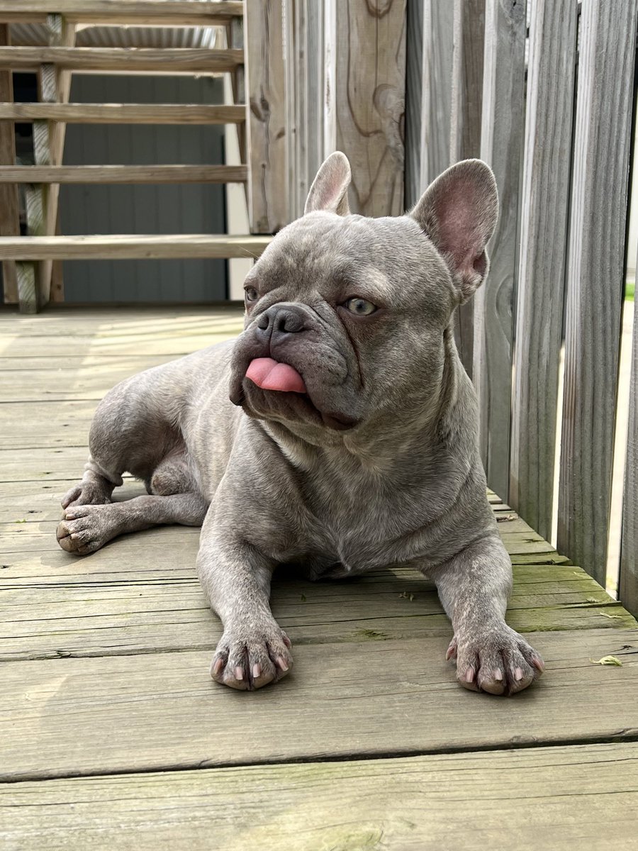 TxGamerChick's tweet photo. I can’t get over his damn tongue 🤪 #MyBITcoin 💜 https://t.co/CLCudNnl8L