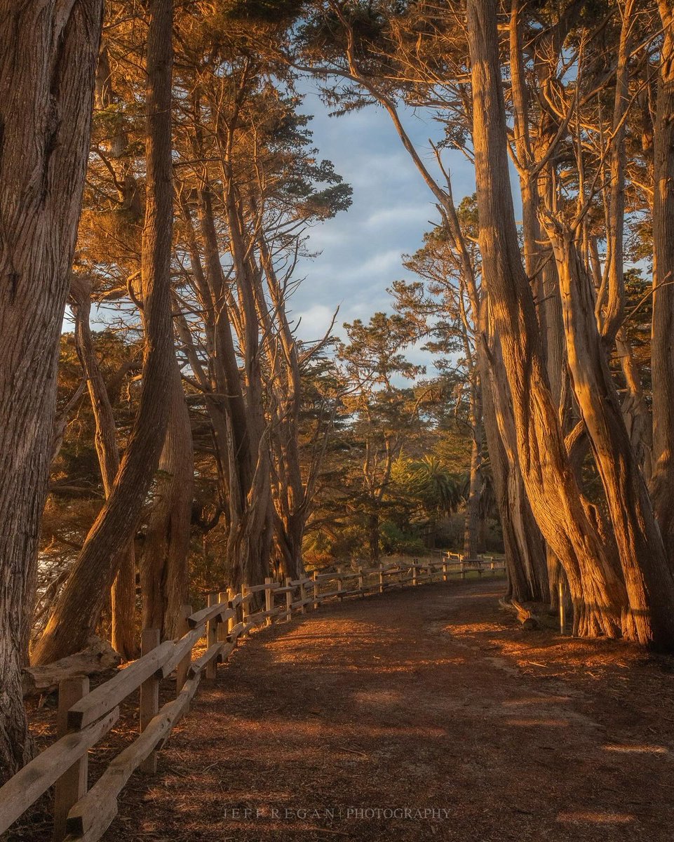 SSVHD's tweet image. Happy Holidays!