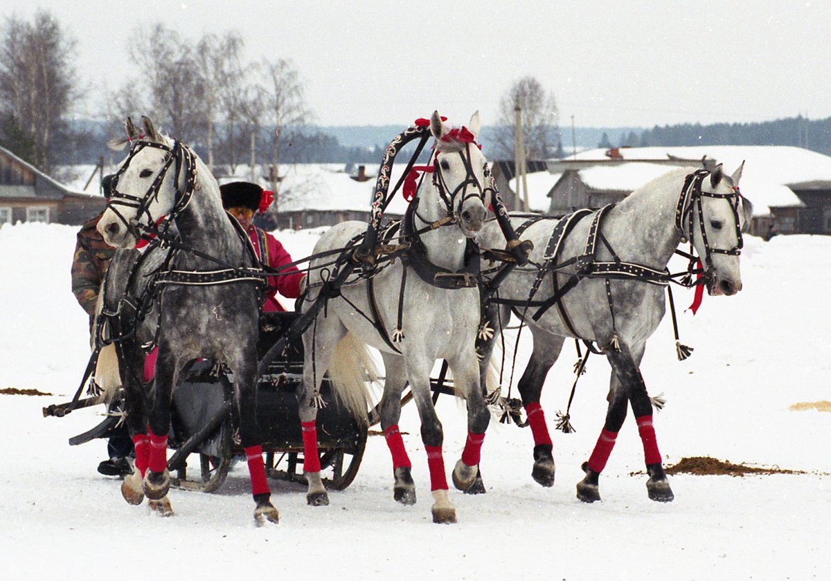 Cambridge Philharmonic and Chorus (@cambridge_phil) on Twitter photo Fun to ride in a 3-horse open sled. Prokofiev #Troika from #LieutenantKije.
#StorybookLive
Conductor:
<a href="/harry_sever/">Harry Sever</a>
Conductor / Presenter:
<a href="/lucyaehollins/">Lucy Hollins</a>
Sat 13 Jan, 14:00 & 16:00
<a href="/WestRoadCH/">West Road Concert Hall</a>
Pic by Лена - Own work, Public Domain
commons.wikimedia.org/w/index.php?cu…
cambridgephilharmonic.com/storybook-live/ Fun to ride in a 3-horse open sled. Prokofiev #Troika from #LieutenantKije.
#StorybookLive
Conductor:
<a href="/harry_sever/">Harry Sever</a>
Conductor / Presenter:
<a href="/lucyaehollins/">Lucy Hollins</a>
Sat 13 Jan, 14:00 & 16:00
<a href="/WestRoadCH/">West Road Concert Hall</a>
Pic by Лена - Own work, Public Domain
commons.wikimedia.org/w/index.php?cu…
cambridgephilharmonic.com/storybook-live/