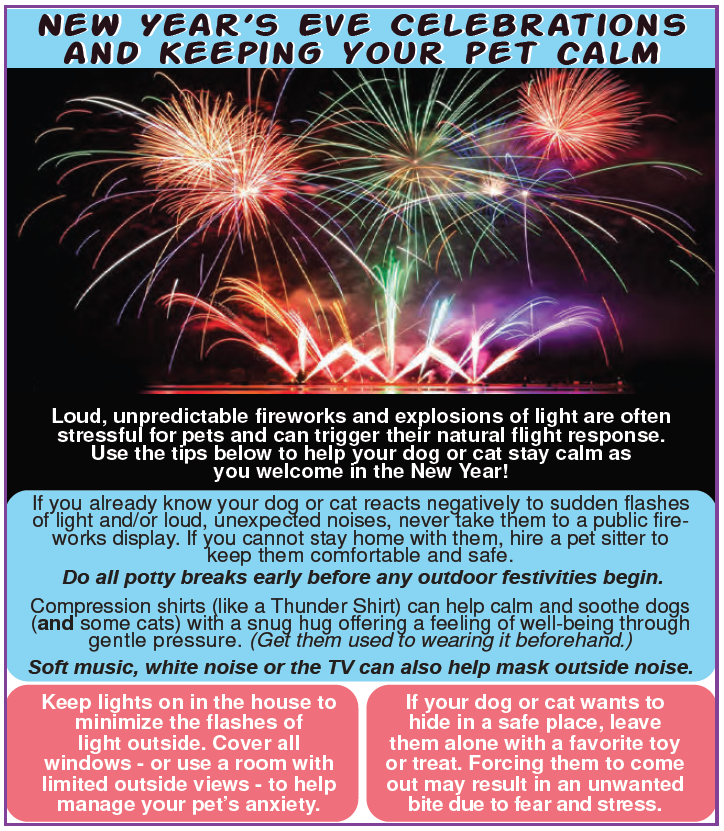 BEFORE the New Year's Eve Celebrations come, get prepared to help your pet(s) stay calm with the tips below!

#Pets 
#Dogs 
#Cats 
#NewYearsEve 
#NewYearsEve2024 
#NewYearsEveParty