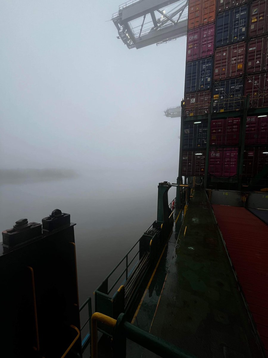 Foggy afternoon in Savannah @GaPorts 😶‍🌫️

Photo from Caroline L.
