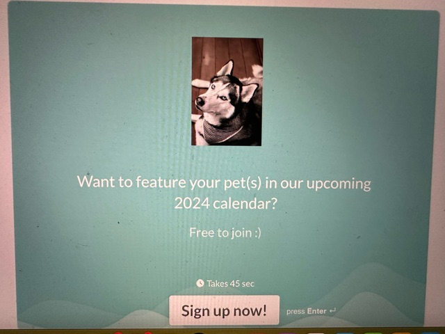 Momma4Life_'s tweet photo. #ad Want to feature your pet in a 2024 Calendar? It's free to sign up all you do is go to the link below. #petscalendar #praisemypetcalendar #praisemypet #featurepet #featureyourpet #aspire https://t.co/BLvetleFH0 https://t.co/BLvetleFH0
. https://t.co/rROfHl4Qln
