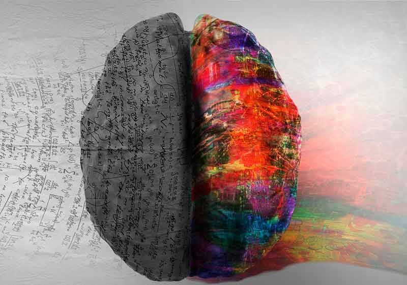 IntraMedNet's tweet photo. Las palabras duelen. La evidencia sugiere que el dolor  físico (dolor nociceptivo) y el dolor transmitido por las palabras  (dolor semántico) se influyen mutuamente. https://t.co/MknxvgzxJ4 https://t.co/pleOjYvRCr
