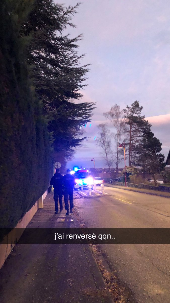 elsastrm's tweet image. j’ai plus de permis !!