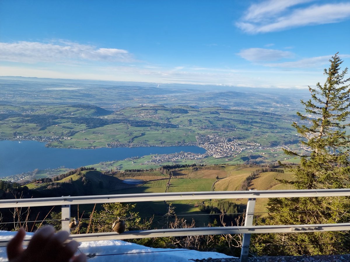 MarcBuergi's tweet image. Heute war die Trauffer Kuh auf der Rigi, der Königin der Berge.
#traufferkuh #rigibahn #Zentralschweiz #Urchig