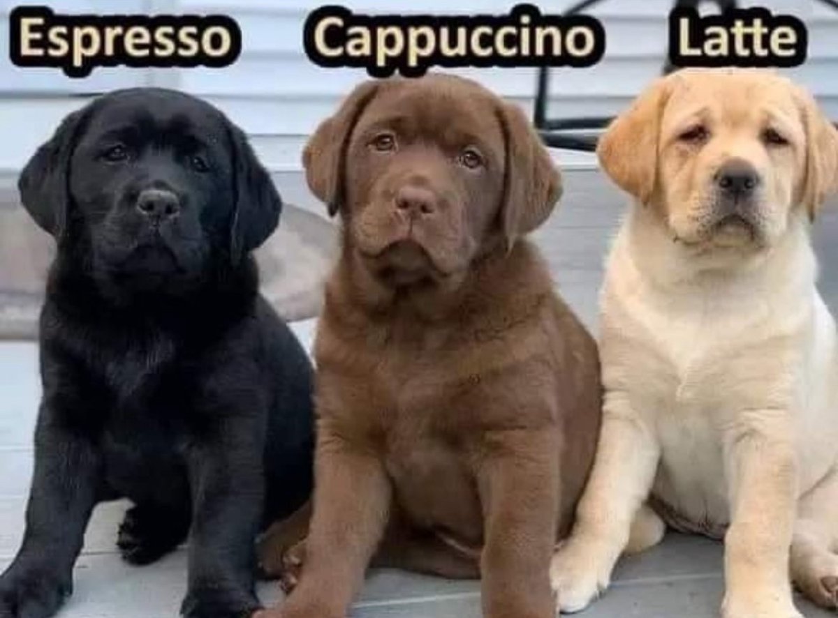 Out of Context Human Race (@nocontexthumans) on Twitter photo 