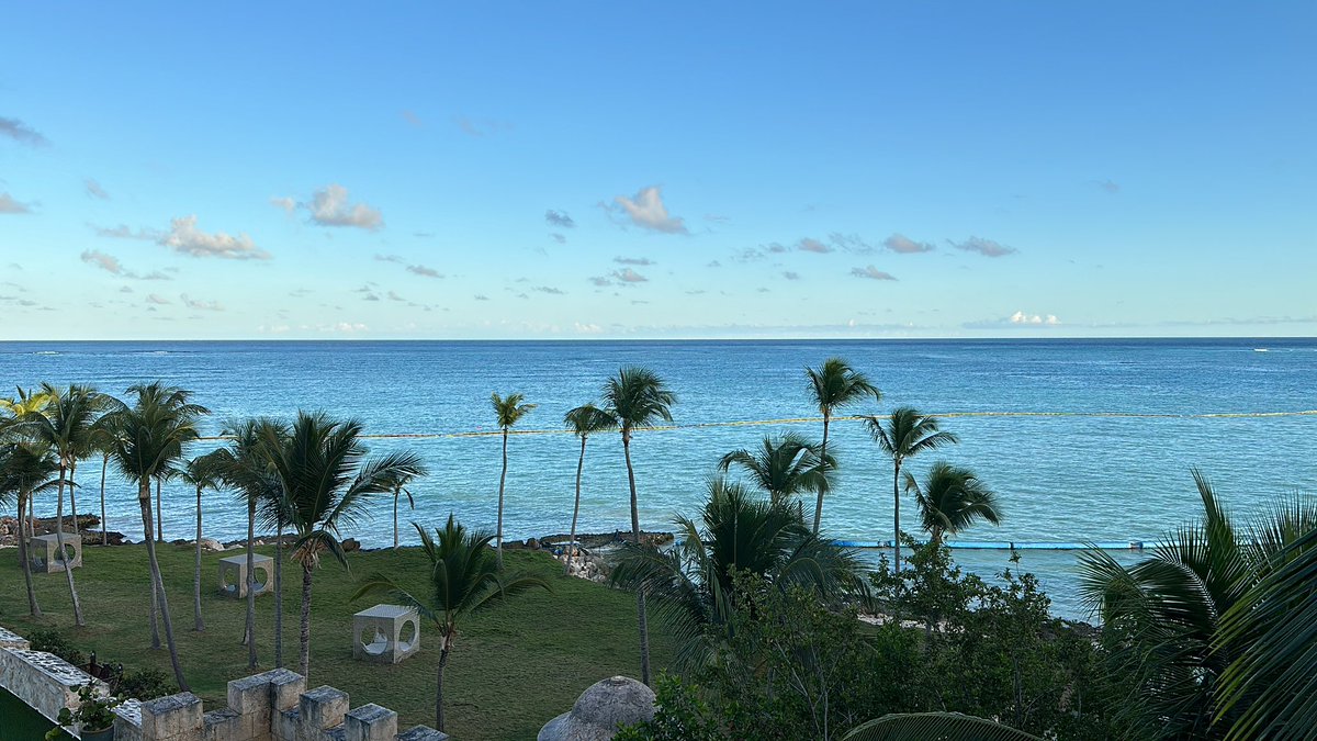 Gaetano DiNardi tweet media