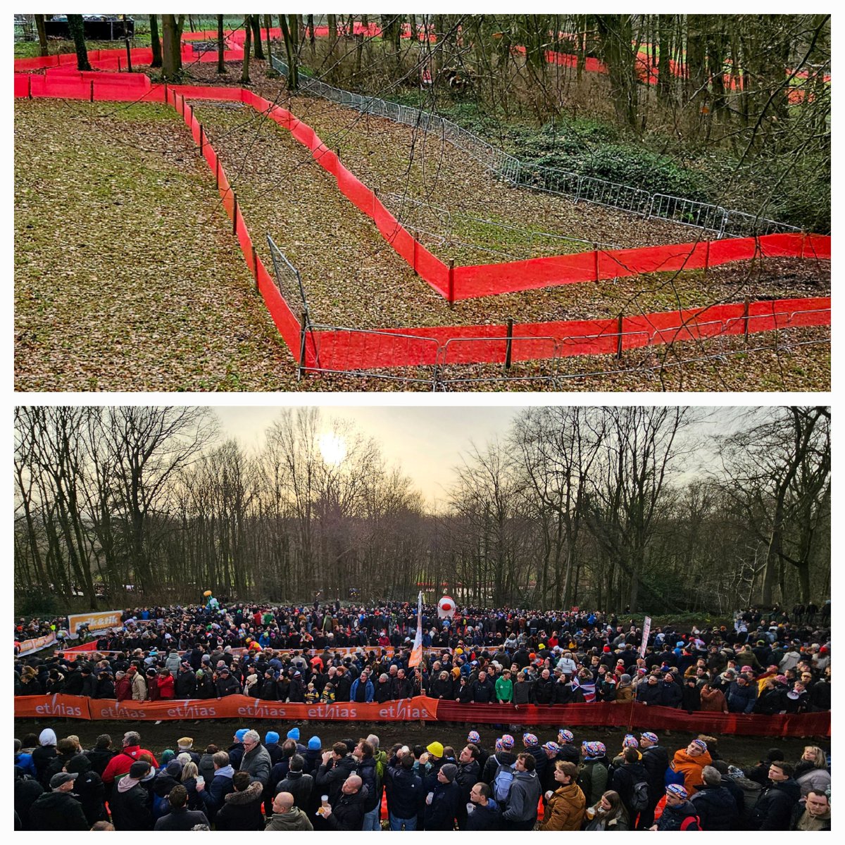 Chris Mannaerts tweet media