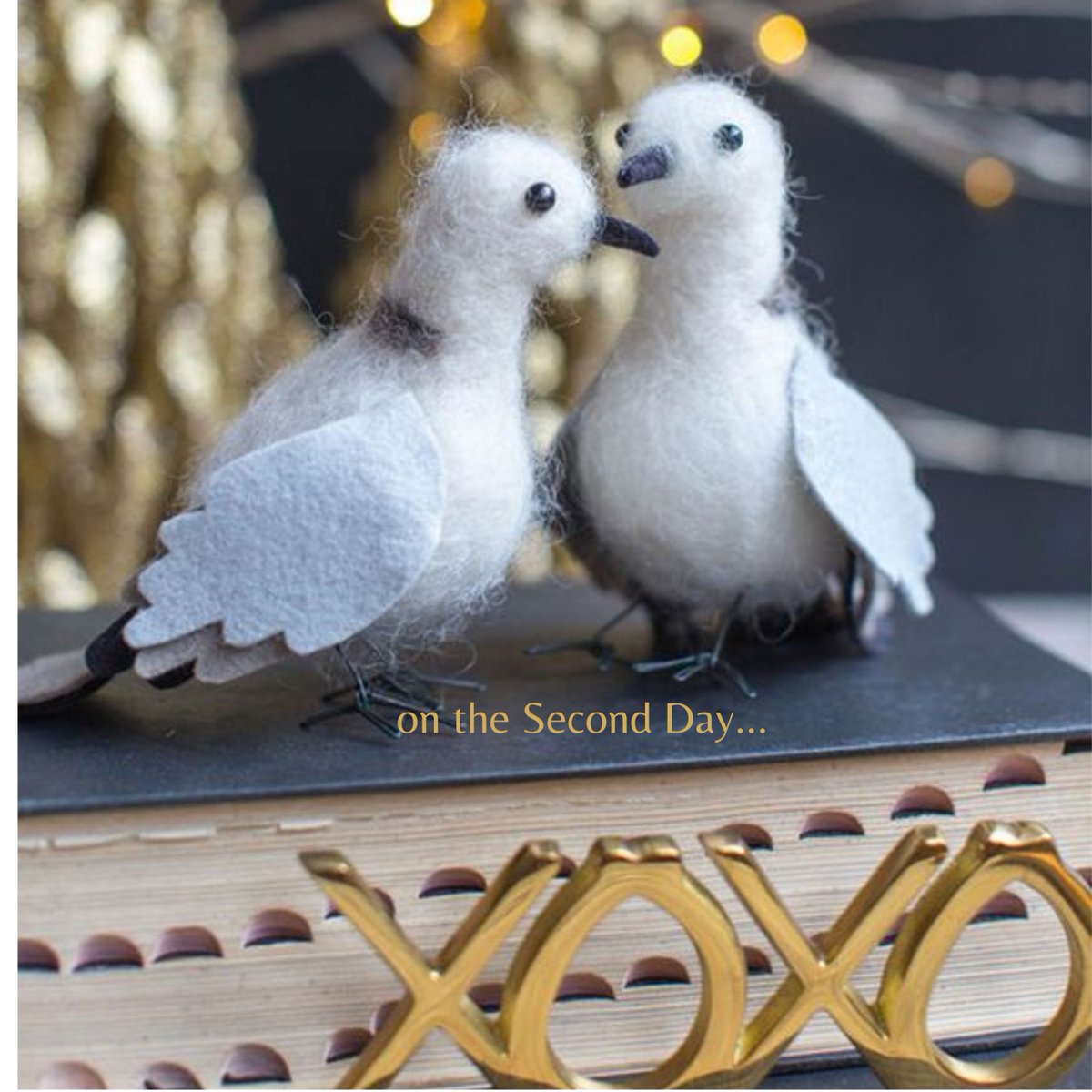 editoutloud's tweet photo. On the #SecondDay of Christmas...
Two Turtle Dove #BetaReaders syncing feedback. Better together. Speak notes,  retrieve comments later. Try the app &amp; edit from any inspiring nest. https://t.co/trpsakM6MF

#Writers #AmWriting #AmEditing https://t.co/ghKkPL6wJc