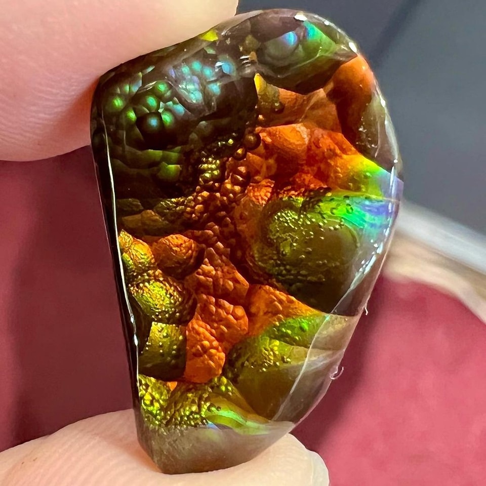 Insane Fire Agate from USA. with full purple flash, the supposed rarest color to see in Fire Agate. Photo ©️ Burton's Gems and Opals