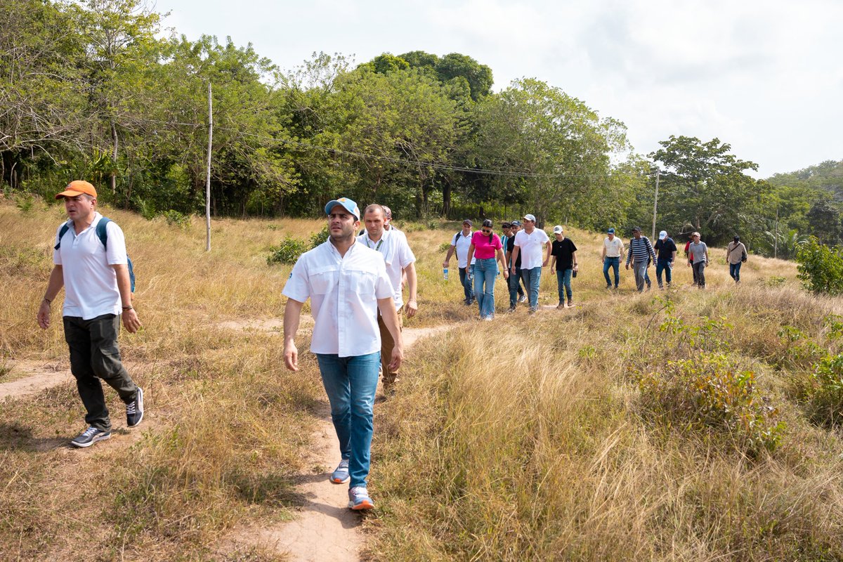 ErasmoZB's tweet photo. Modelos productivos como el que ha logrado consolidar ASPROCIG, la Asociación de pescadores campesinos indígenas y afrodescendientes para el desarrollo comunitario de la Cienaga Grande del Bajo Sinú, son realmente un ejemplo que debemos replicar no solo en Córdoba sino en el mundo. 🌎

Aquí, en este complejo cenagoso, se trabajan tres ejes: seguridad alimentaria, auto sostenibilidad energética y protección del medio ambiente, tres acciones que a su vez impactan en la reducción de la pobreza monetaria.

Ellos son la prueba de que sí puede ser productivo y conservar el medio ambiente, fomentando un estilo de vida que pone en el centro la conservación de los recursos naturales. 🌱

Funcionan como Agroecosistemas Biodiversos Familiares (ABIF), pues usan la biodiversidad que está presente en la Ciénaga Grande, los conocimientos ancestrales, la ciencia y la tecnología, para generar bienestar.

Me llamó mucho la atención el modelo de turismo comunitario, porque es una manera de cuidar el medio ambiente y generar ingresos.

Vamos a fortalecer estos modelos y buscaremos alternativas para replicarlos en otras zonas de nuestro departamento. ✅