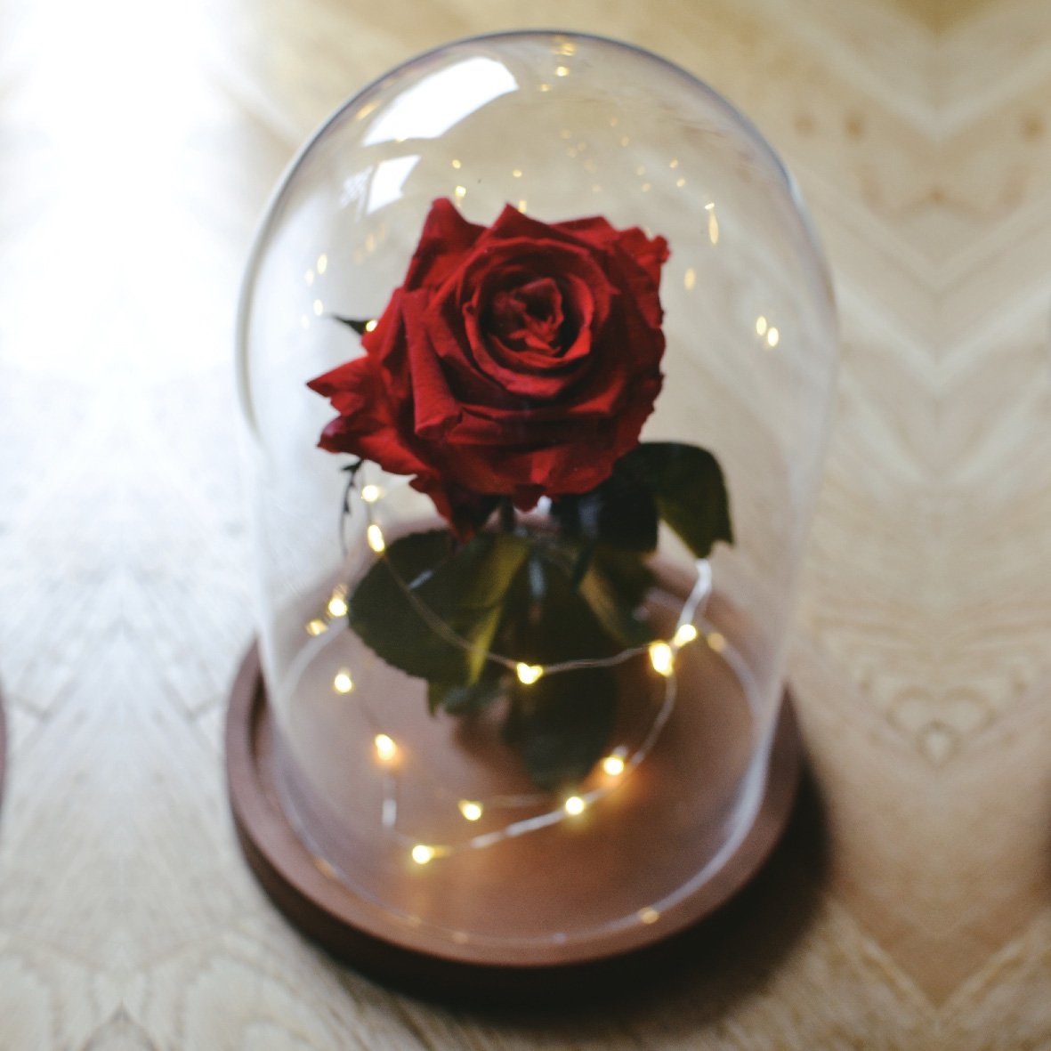 I didn't tweet about it yesterday but <a href="/UnbreakableRWYA/">I am Melon Lord!</a> knows how much I love Beauty &amp; the Beast...she got me this &amp; a note that said "My love for you will last until the final petal falls."

Of course I gave her a look cause real rose, but she told me the last petal won't fall ❤️