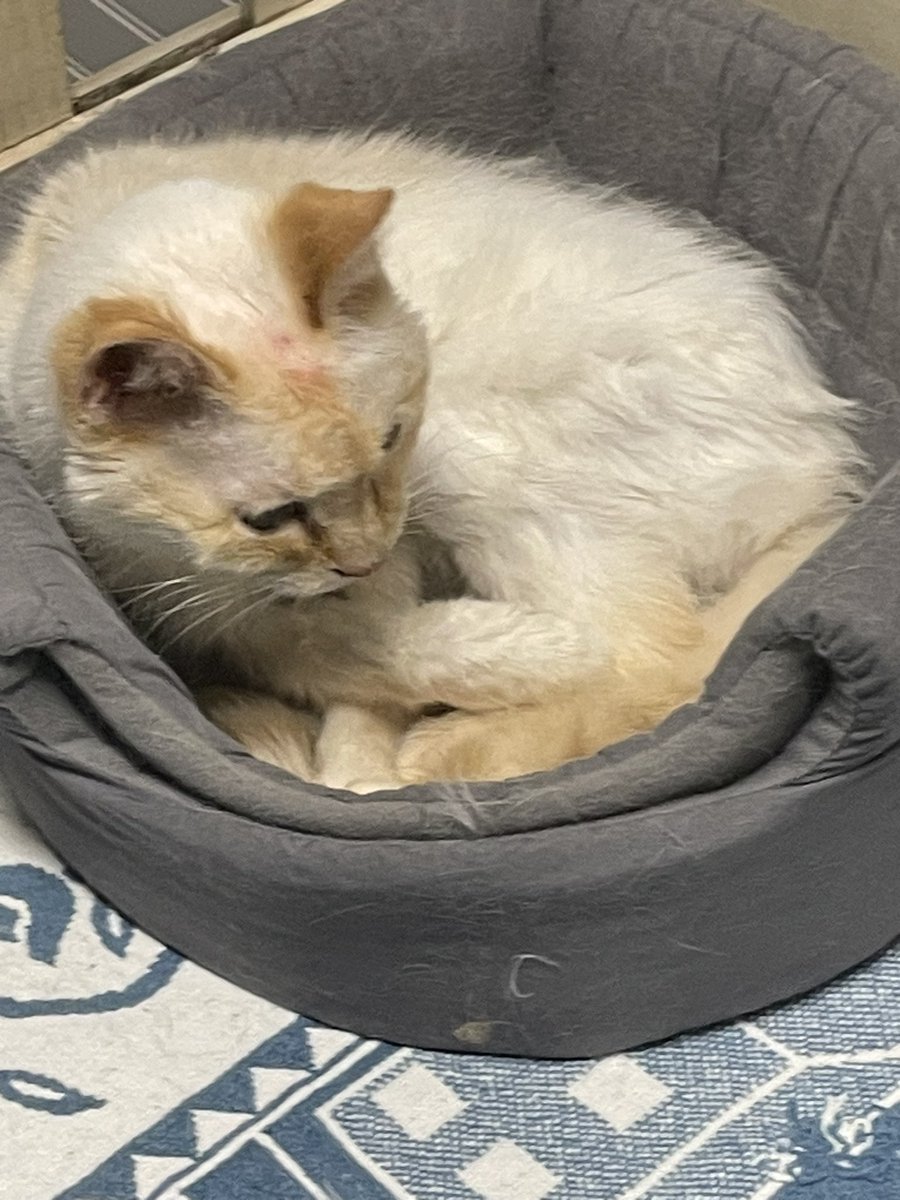 jilly!!! (@jillyaaaaa) on Twitter photo 