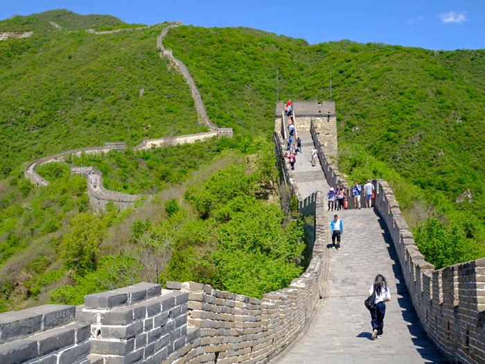 Great wall of Palestine