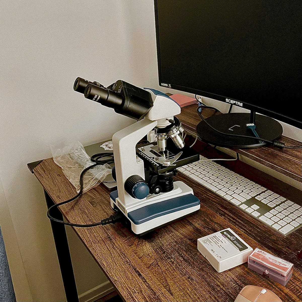 Ellie Hunter-Acosta, Ph. D. tweet media