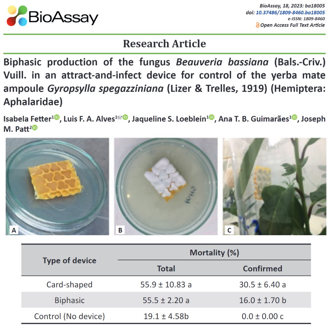 BioAssay_SEB's tweet photo. Biphasic production of the fungus Beauveria bassiana (Bals.-Criv.) Vuill. in an attract-and-infect device for control of the yerba mate ampoule Gyropsylla spegazziniana (Lizer &amp; Trelles, 1919) (Hemiptera: Aphalaridae)
 
https://t.co/3LO1ntHA0E

#bioassay #seb #researcharticle https://t.co/m5D48OI1fa
