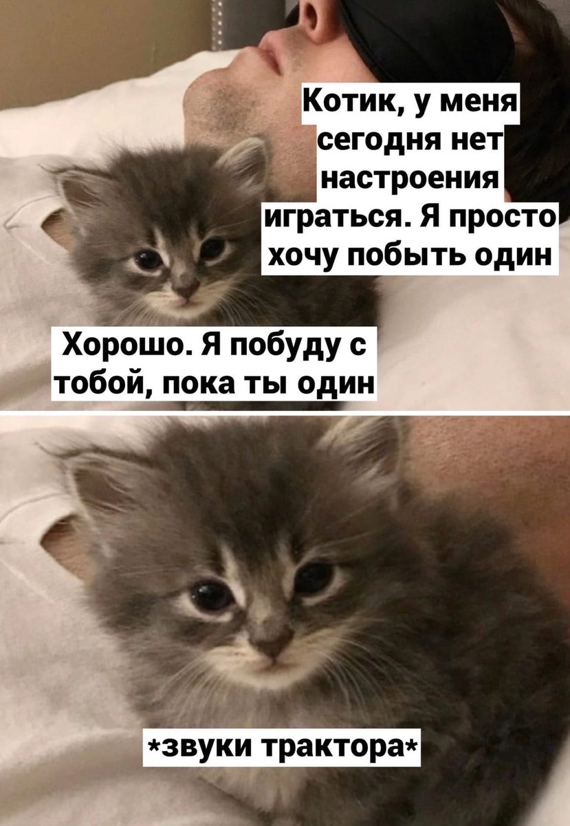 TimeZero's tweet photo. @bardulya https://t.co/B15rVUwbXe