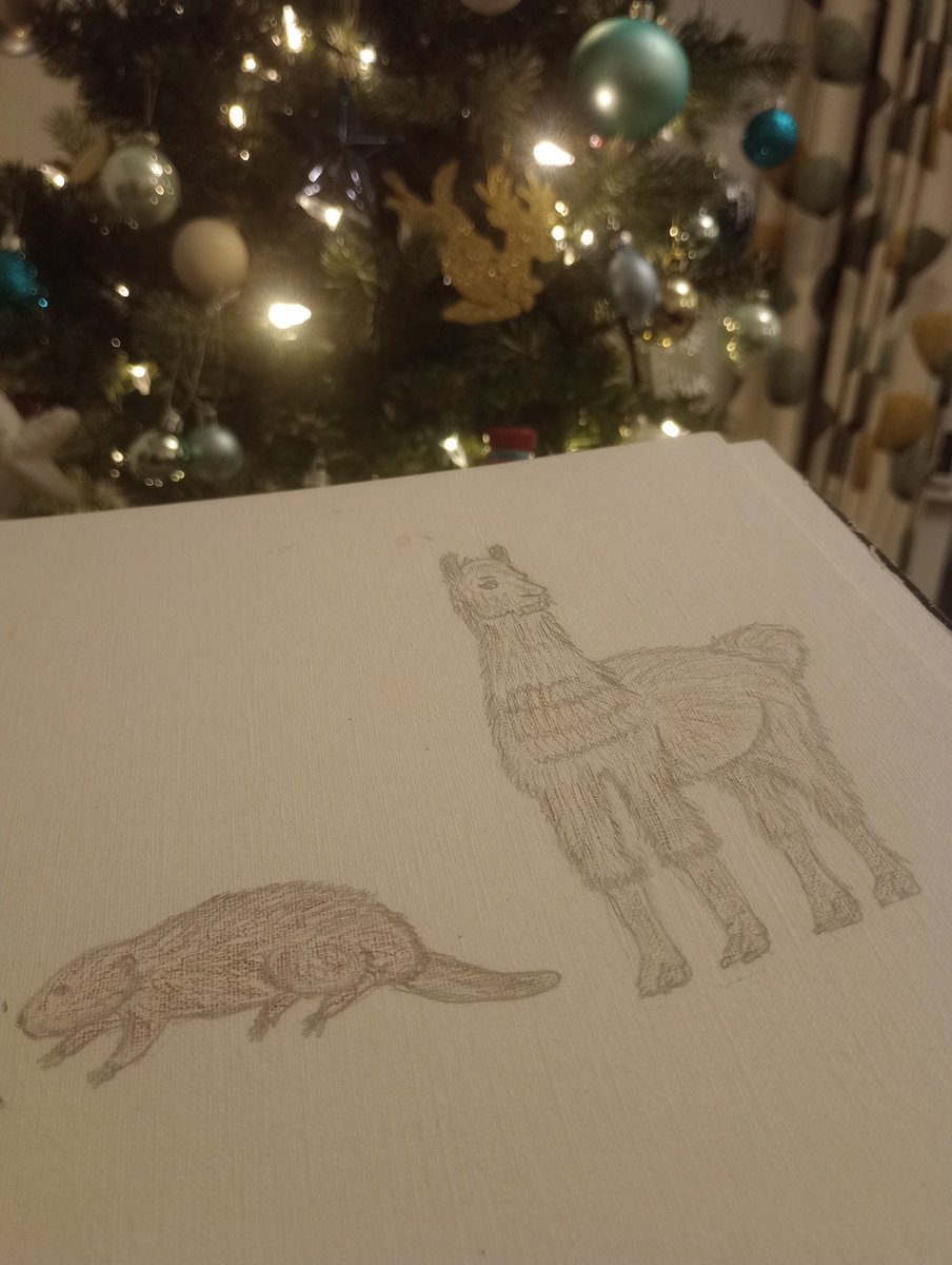Maybe Christmas break but still squeezing #ecology into the boxing day relaxing #sketch to avoid the football #beaver #llama