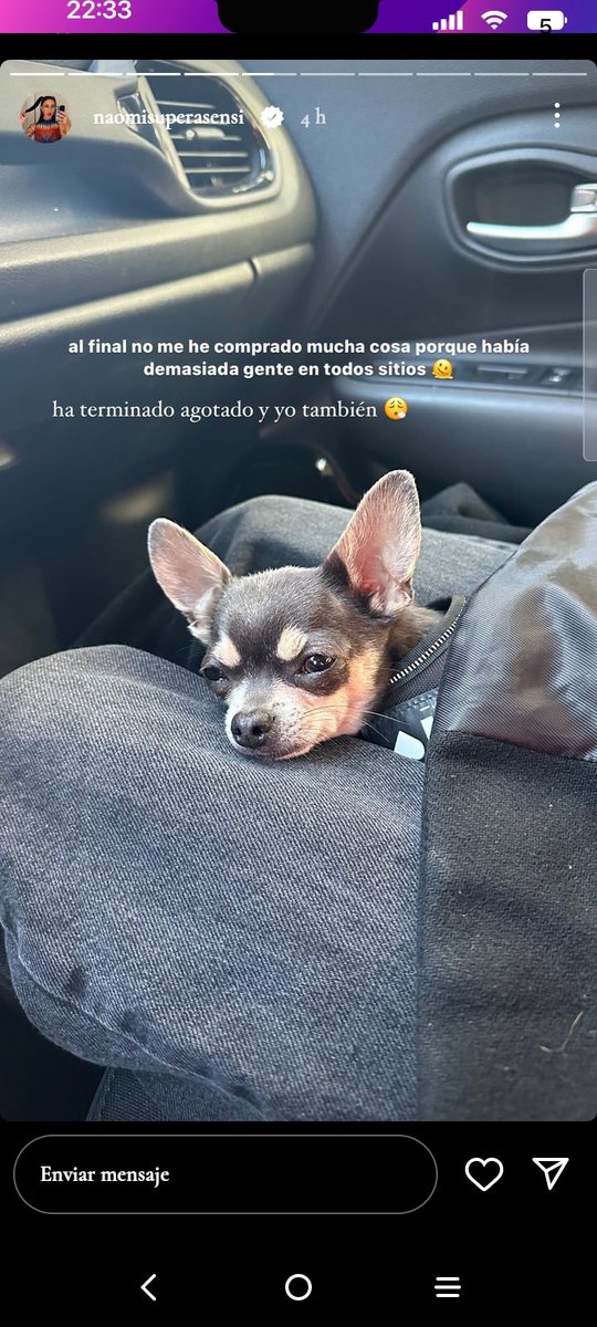 mitele_'s tweet image. Naomi  la mueble y planta de #ghvip8 sin cinturón y llevando a su perro entre las piernas que está prohibido porque puede producir lesiones y  además sin arnés y sin un transportín para el 🐶

#GHVIP26D #asieslavida
#TardeAR #GHVIP27D
#tardear26D  #tardear27D
#GHVIP25D
#GHVIP25D