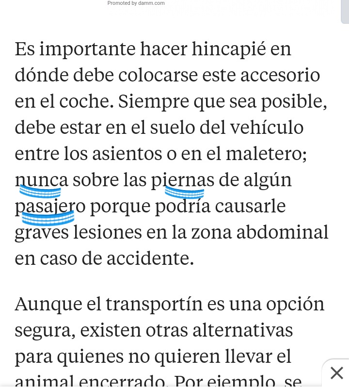 mitele_'s tweet image. Naomi  la mueble y planta de #ghvip8 sin cinturón y llevando a su perro entre las piernas que está prohibido porque puede producir lesiones y  además sin arnés y sin un transportín para el 🐶

#GHVIP26D #asieslavida
#TardeAR #GHVIP27D
#tardear26D  #tardear27D
#GHVIP25D
#GHVIP25D