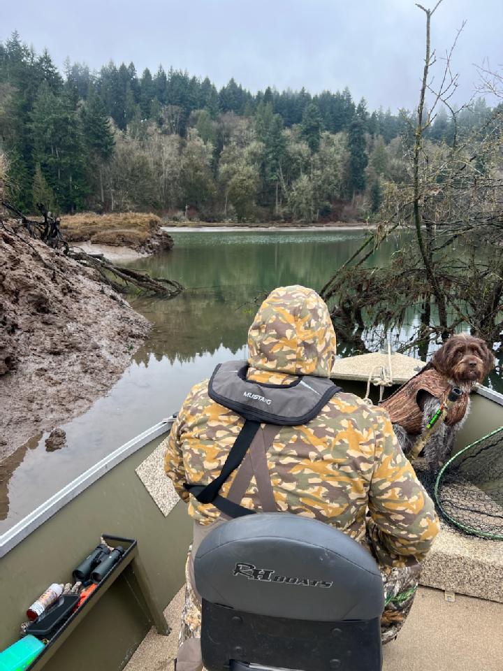 Dad, where are the ducks?  You said there would be ducks