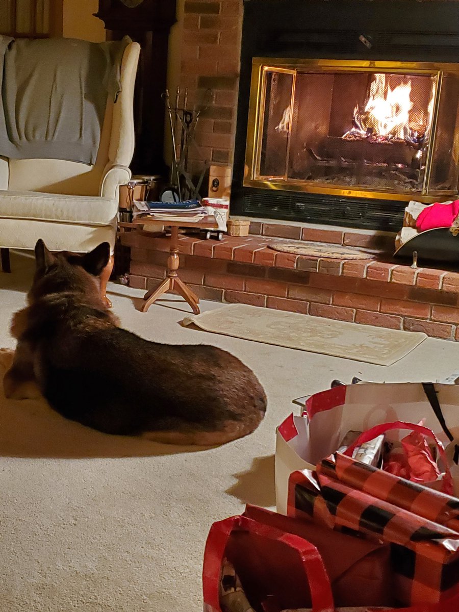beetzgurl's tweet photo. Merry Xmas! 🎄 #VT https://t.co/ARQRtUj0aR