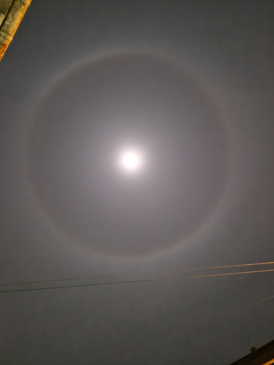 Rosalegur rosabaugur.