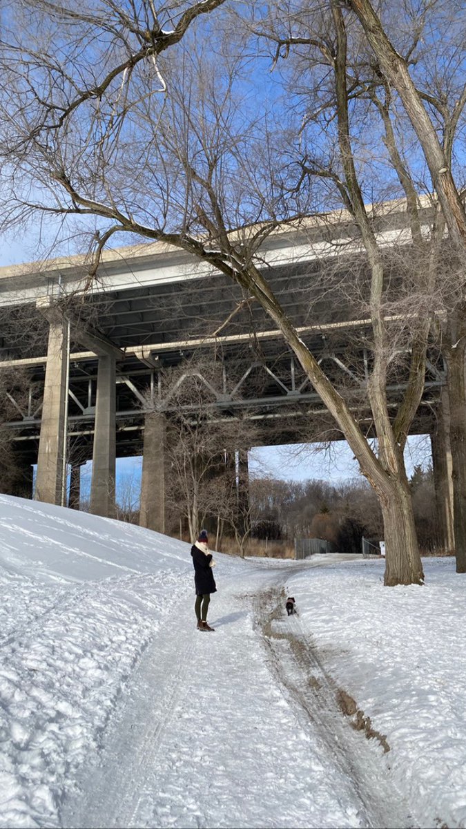 Catharine MacKenzie tweet media