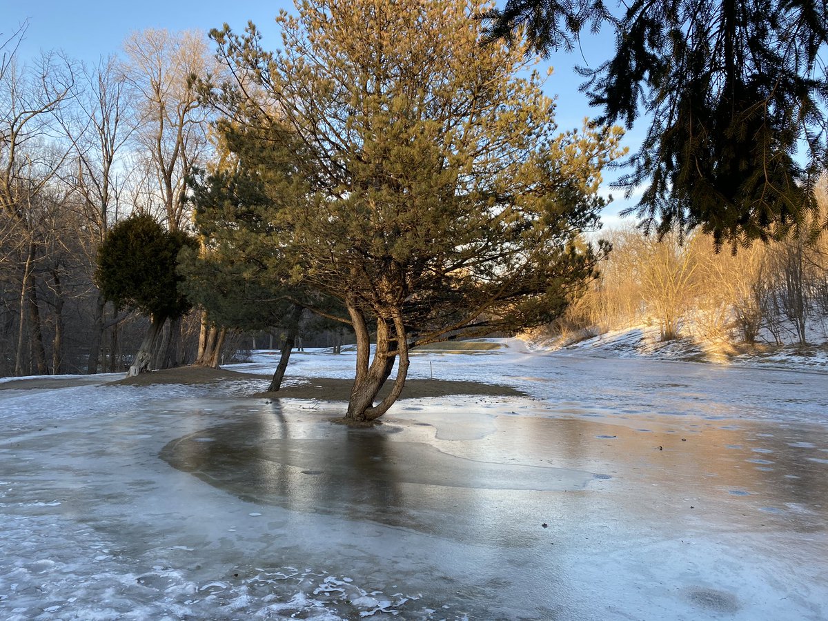 Catharine MacKenzie tweet media