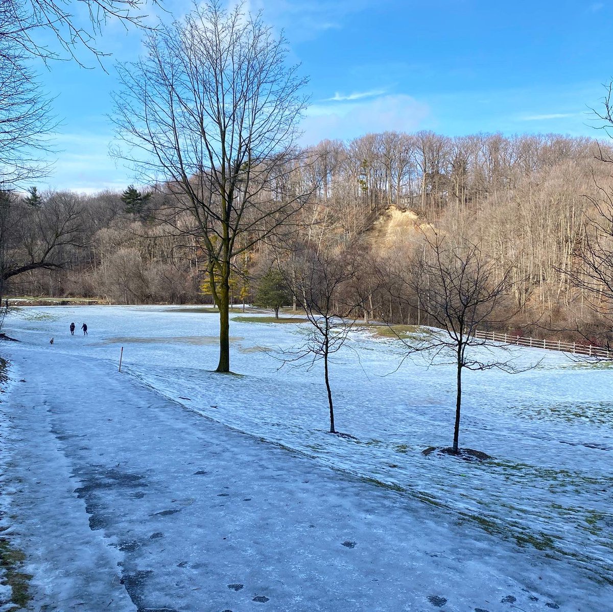 Catharine MacKenzie tweet media