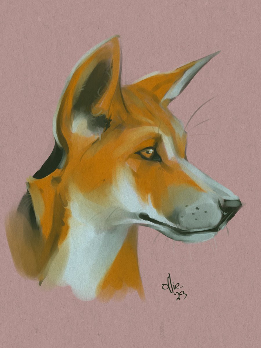 This one with 9 likes goddamn killin it over here

2024 I’m gonna crack double digits