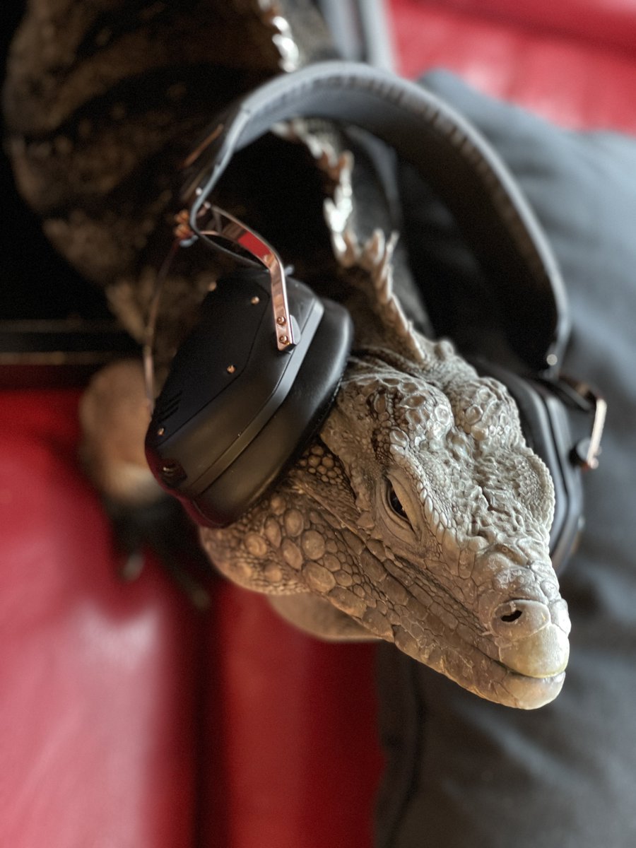 DJ Casanova #cyclura #VMODA