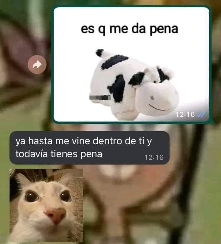 4ip4d3's tweet photo. es q me da pena https://t.co/CIrJvkpWiw