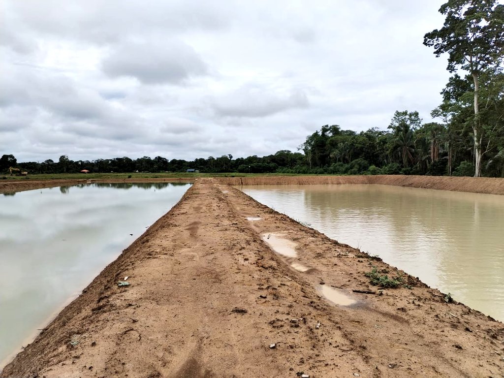 Nuevo día de siembra de alevines de tambaquí, junto a mi familia. Finalizamos esta gestión produciendo alimento, gracias a la generosa Pachamama. Se vienen tiempos difíciles y debemos estar preparados. A mis hermanos les reitero, no vendan sus tierras, la tierra es libertad, la…