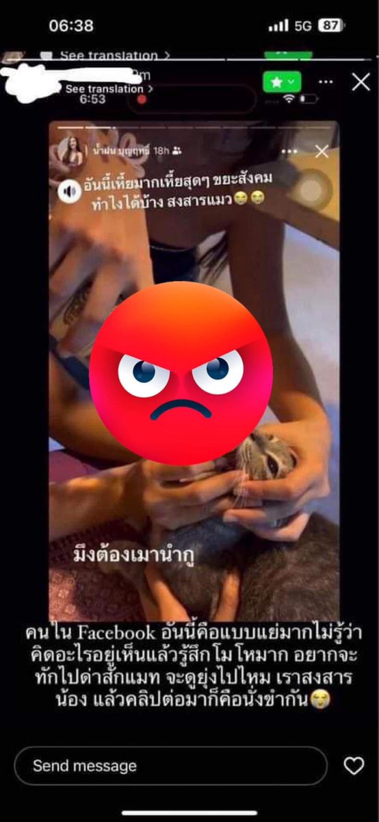 RedSkullxxx's tweet photo. อีเหี้ย อีสก๊อยเอาเหล้ากรอกปากแมว กรอกเสร็จเอามือบีบปากแมวไม่ให้สำลักออกมาอีก เหี้ยจริงๆอีสันดาน แมวตายได้เลยนะนั่น เยดแม่โกรธจนมือสั่นเลยกู  #โหนกระแส #ทาสแมว https://t.co/ErPuBh8RLF