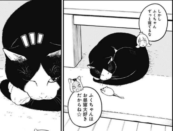 猫を飼いたいです。不老不死の猫を 