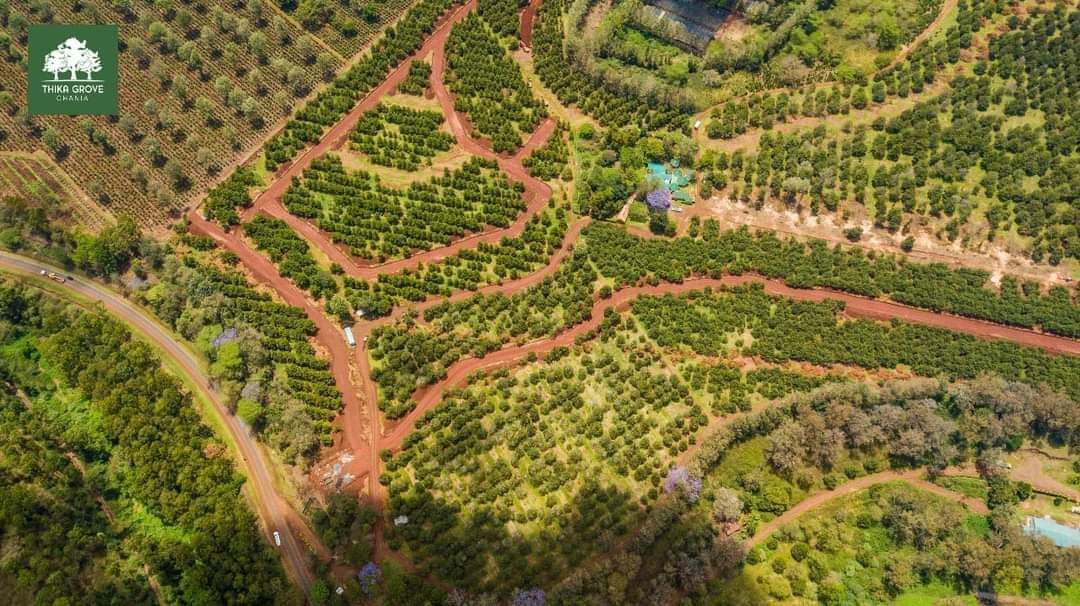 WinnieBaita's tweet photo. Are you looking for an affordable plot in Thika one of Kenya’s most rapidly developing locations? 

𝐂𝐨𝐧𝐭𝐚𝐜𝐭;𝟎𝟕𝟏𝟎𝟏𝟐𝟔𝟏𝟐𝟑

#ThikaGrove #affordableplots #realestate #finscoafrica #BluePostHotel #BankFinancing #thika #FestiveSeason #happyholidays #christmas2023 https://t.co/es9htiLbiT