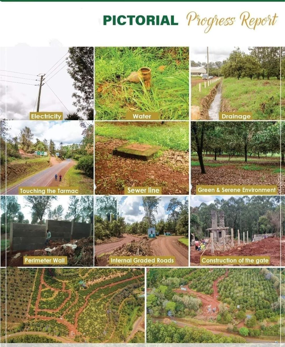 WinnieBaita's tweet photo. Are you looking for an affordable plot in Thika one of Kenya’s most rapidly developing locations? 

𝐂𝐨𝐧𝐭𝐚𝐜𝐭;𝟎𝟕𝟏𝟎𝟏𝟐𝟔𝟏𝟐𝟑

#ThikaGrove #affordableplots #realestate #finscoafrica #BluePostHotel #BankFinancing #thika #FestiveSeason #happyholidays #christmas2023 https://t.co/es9htiLbiT
