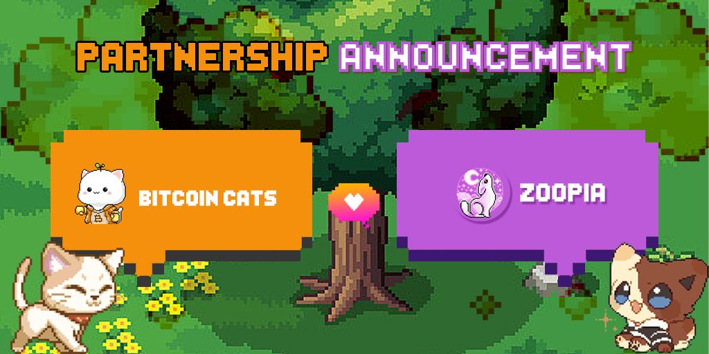 Zoopia_Staking's tweet photo. 🎉Exciting news! 

We’re thrilled to announce our partnership with @BitcoinCats1Cat, the leading #GameFi Platform within the #Bitcoin Ecosystem! 🐱

Together, we’re bringing innovative opportunities to our community.🚀 

#Zoopia #ZOOA #BRC20 #Bitcoin #bitcoinnews https://t.co/8zCwTyIwWG