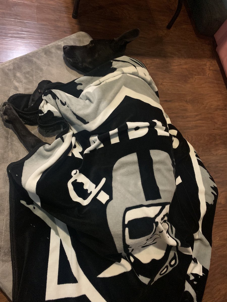 My Max loves the Raiders.