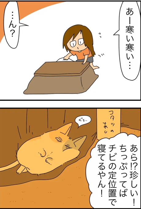 うちの猫可愛いっていう漫画🐈🩷 