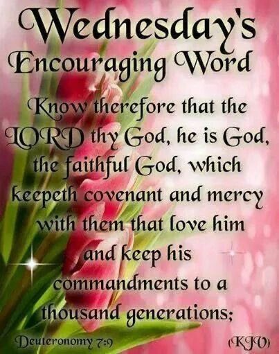 #WednesdayBlessings #TwitterFriends 

💚Have A Blessed Wednesday!