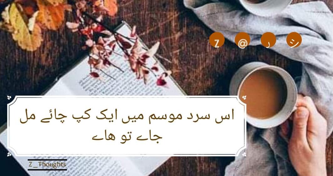 nimi546's tweet photo. #Z_@シ
اس سرد موسم میں ایک کپ چائے مل جائے تو ھائے☕
tealover 💕 https://t.co/bTGNLYbXbY