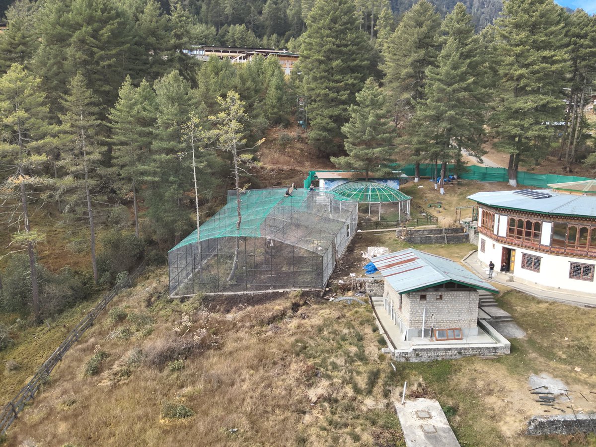 RSPN Bhutan tweet media