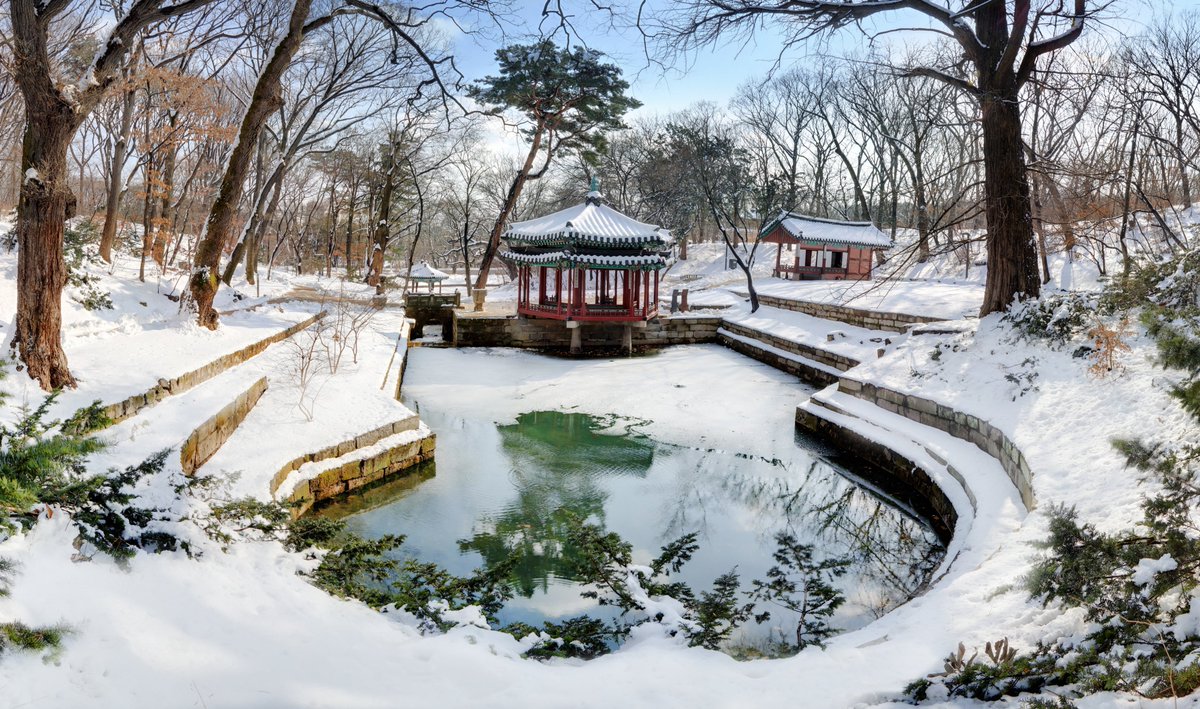 덕궁의 사계절

#창덕궁
#창덕궁후원
#changdeokpalace