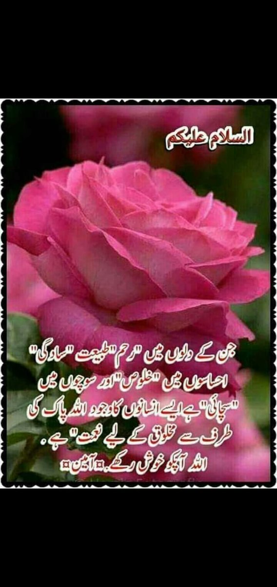 Shafqat Pasand tweet media